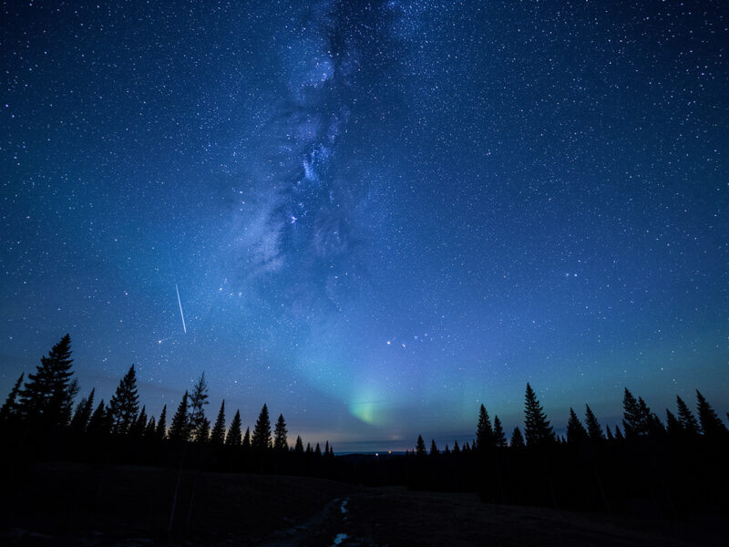 Seasonal Night Sky Guide: Astronomy Through the Year